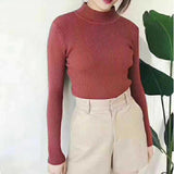 Pullover Slim Fit Skinny Sweater