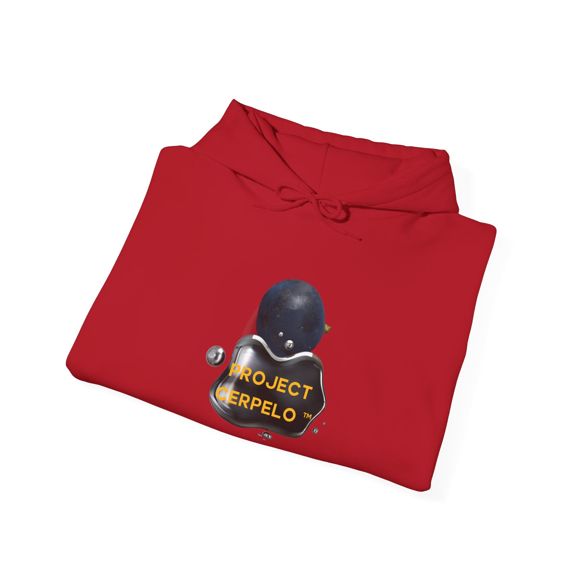 PROJECT CERPELO™ セルペロ Hoodie